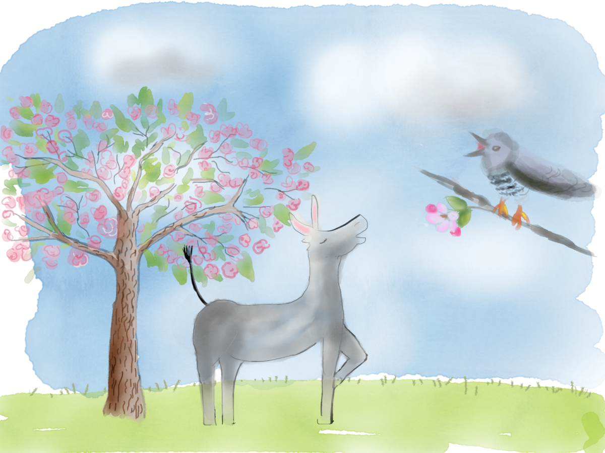 Der Kuckuck und der Esel